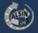 Alsin Logo